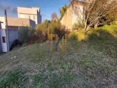 Terreno para Venda, em Bag�, bairro S�o Jorge